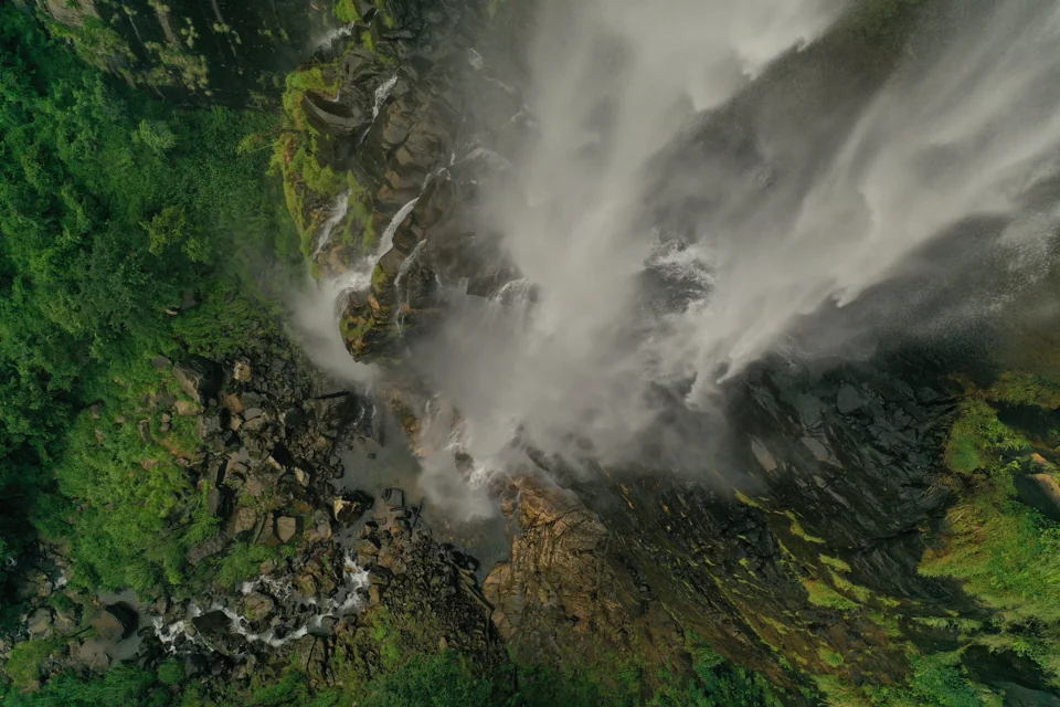 Waterfall spray falling into dense greenery