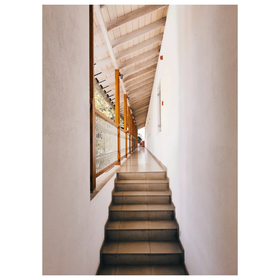 A narrow stairway lit from above