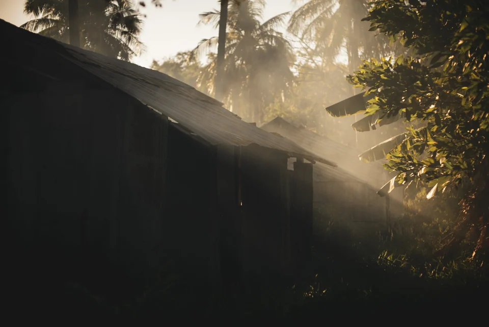 Sunbeams crossing the roof of a forest building