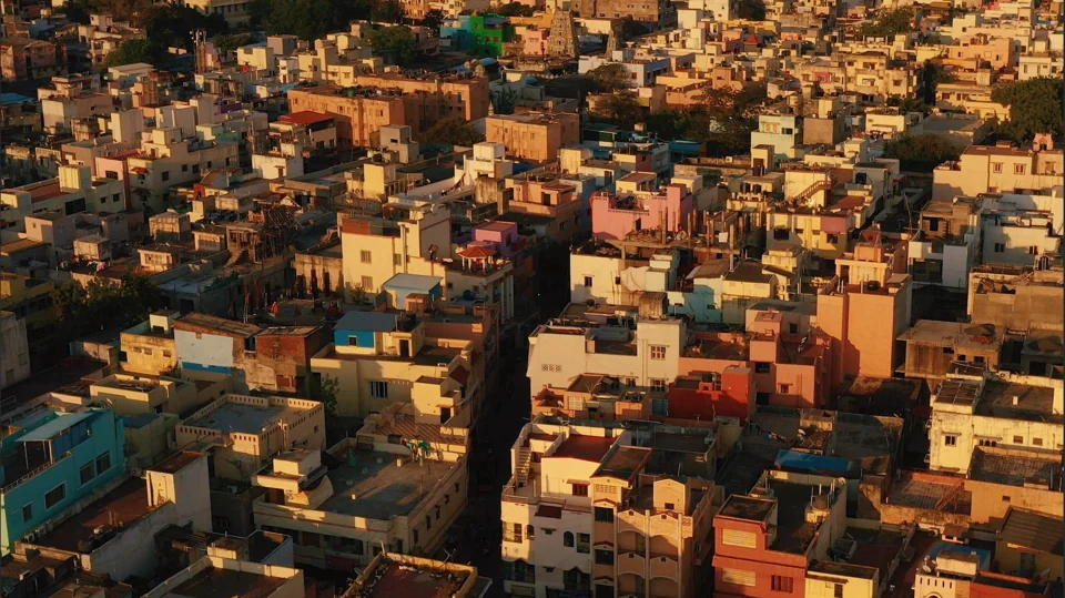 Warm sunlight across a densely built neighbourhood