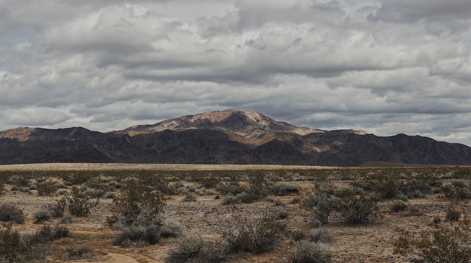 Open desert beneath an overcast sky