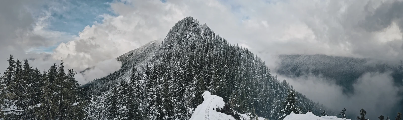 A snow-covered forest ridge surrounded by clouds