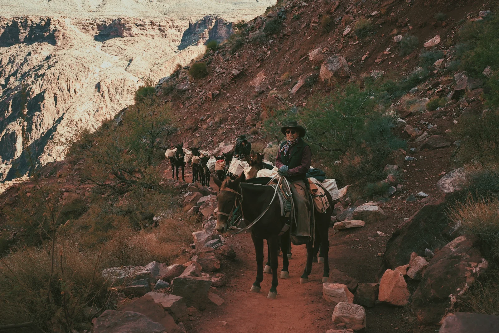 Mule riders following a narrow canyon trail