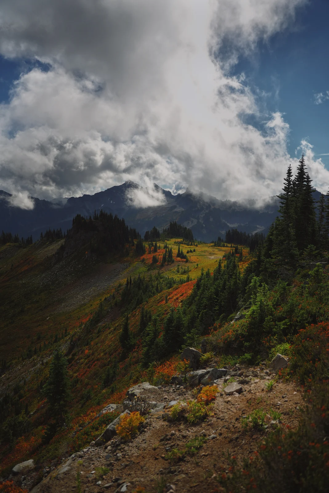 A trail through a green alpine meadow beneath clouds