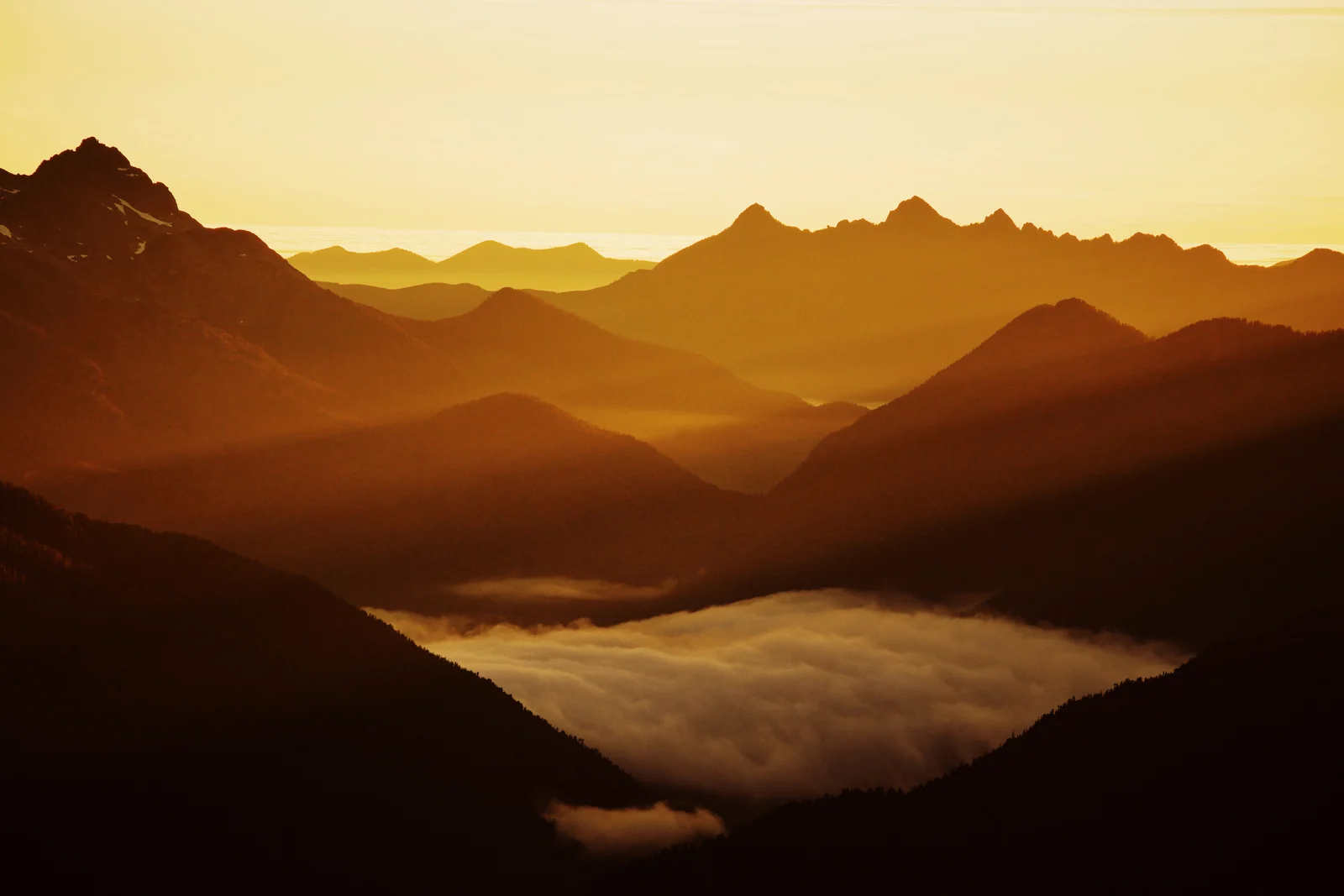 Golden mountain layers above a cloud-filled valley