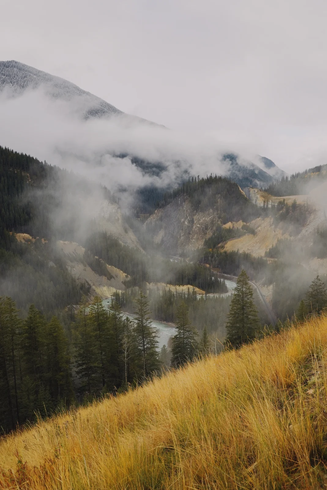 Mist above a winding river and road with golden foreground grass